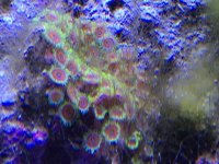 IMG_2622.jpg