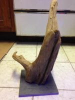 photo 2(2).jpg