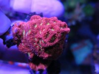 IMG_0801.JPG