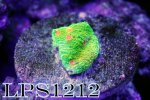 IMG_8773.JPG