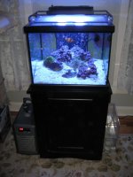 IMG_5927.jpg