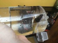 ImageUploadedByReefs2015-02-06 12:58:05 EST.jpg