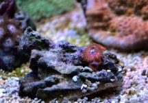 DSC_5935.jpg