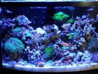 20130713_123838.jpg