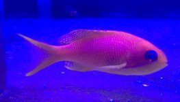 IMG_2492.JPG