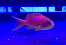 IMG_2498.JPG
