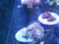 20141106_114241.jpg