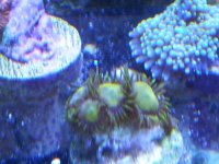 20141106_114205.jpg