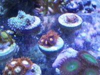 20141106_114154.jpg