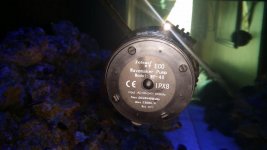 20140624_071015.jpg