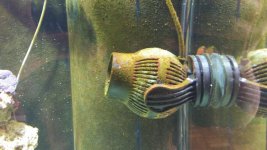 20140624_071335.jpg