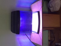 IMG_1039.jpg