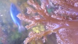 20150206_145330.jpg