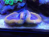 IMG_2399.jpg