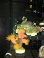 IMG_20140311_004956.jpg