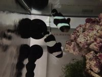 IMG_5661.jpg