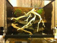 Photo Jan 16, 5 27 18 AM.jpg