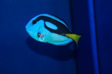 IMG_2227.jpg