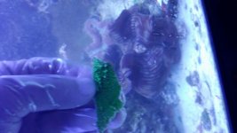 20140626_165716.jpg