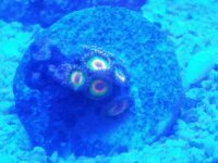 20141003_122619.jpg