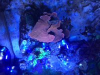IMG_0395.JPG
