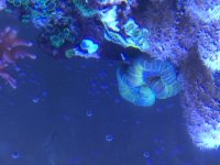 IMG_0398.JPG