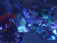 IMG_0399.JPG