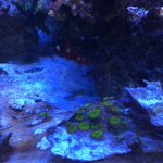 IMG_0388.JPG