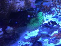 IMG_0392.JPG