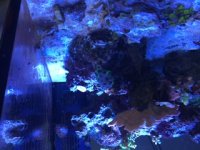 IMG_0396.JPG