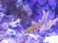 IMG20140810172746.jpg