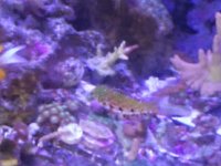 IMG20140810172747.jpg