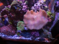 Img_1470.jpg