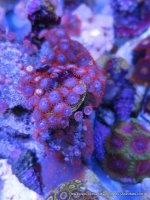 IMG_1301.JPG
