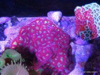IMG_1297.JPG