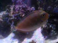 CAM00849.jpg