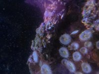 CAM00840.jpg