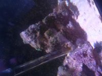CAM00844.jpg