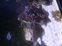 CAM00845.jpg