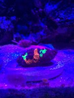 IMG_1981.jpg