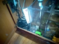 ImageUploadedByTapatalk1419688614.387671.jpg