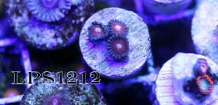 IMG_6845.JPG