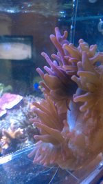 WP_20140505_015.jpg