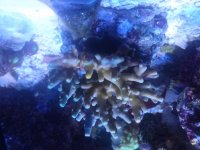 CAM01080.jpg