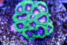 IMG_7665.JPG