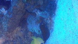 20141004_031141.jpg