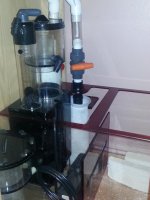 20140628_210331.jpg