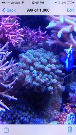 photo-2.jpg
