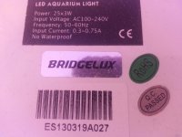 light4.jpg