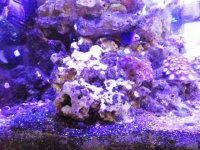 rock-3.jpg